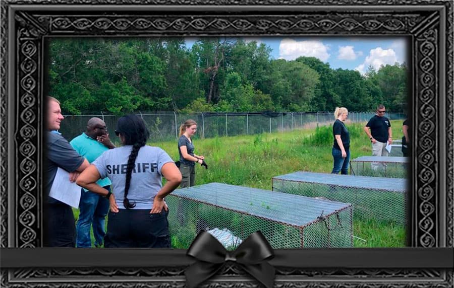 Фермы трупов: что это такое?