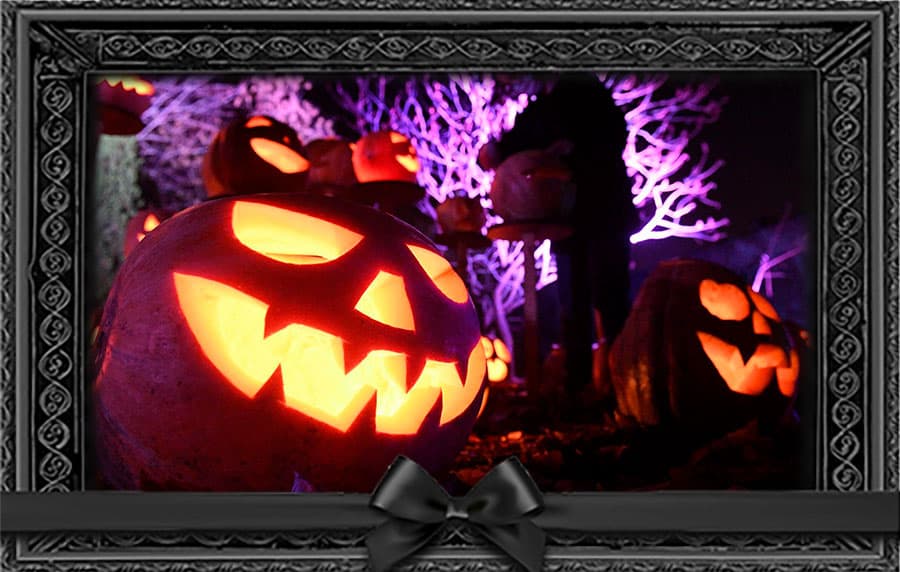 Хэллоуин: празднуют ли его в Беларуси?