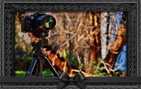 Блоггеры, погибшие в прямом эфире