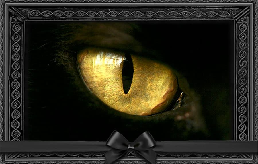 Кошачий глаз у человека при смерти
