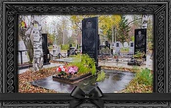 ритуальные услуги в Минске, деревья на кладбище